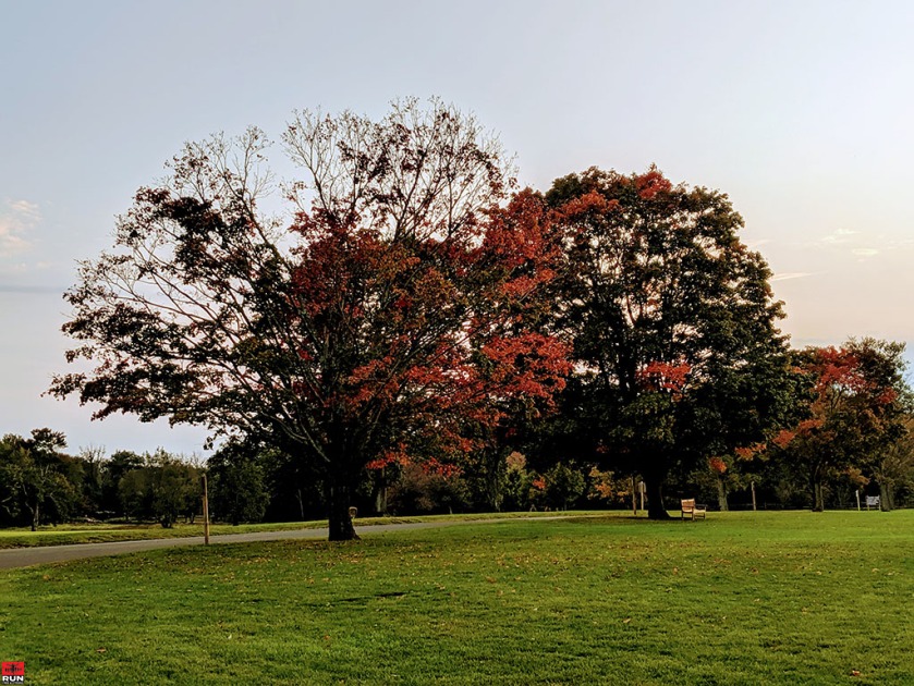 Waveny Park, New Canaan, CT in fall 2019